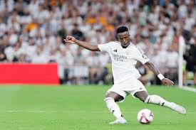 迅速打响了 迅速打响了